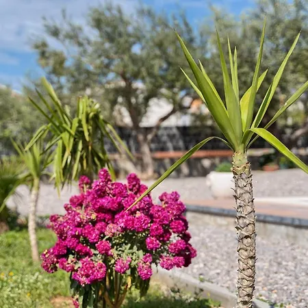 Jakov Haus בית נופש *