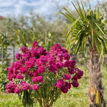 Jakov Haus Dom wakacyjny