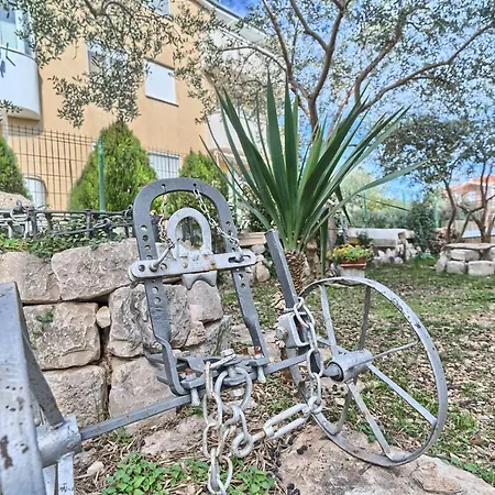 Jakov Haus * Kastela