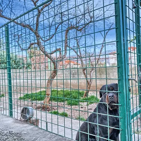 Jakov Haus Dom wakacyjny *