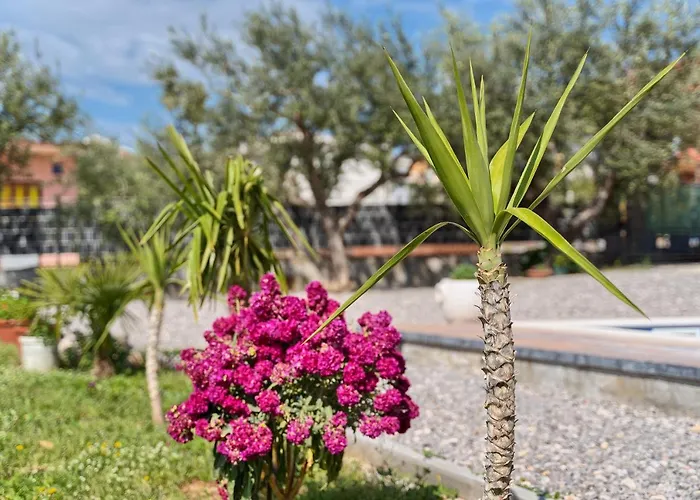 Jakov Haus בית נופש *