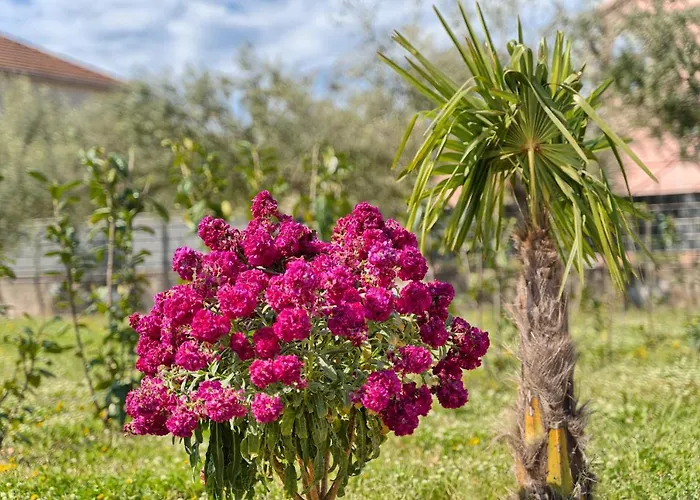Jakov Haus בית נופש